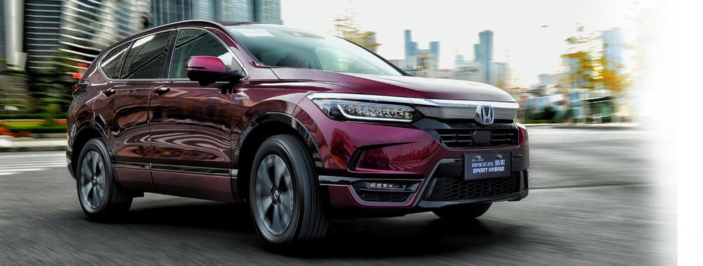 ��ů��������̤�಻֪����ɶ��������������