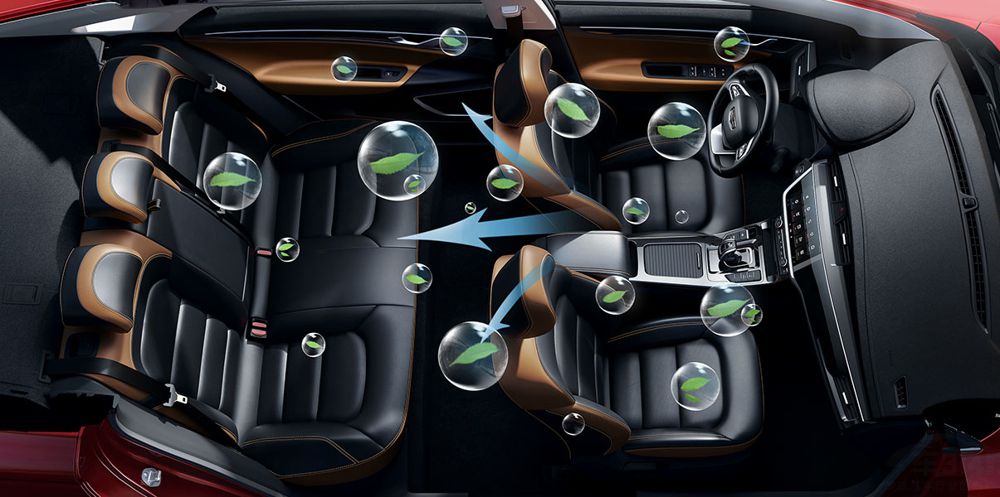 车在城中行 身在森林中 带森林氧吧轿车推荐 车在城中行 身在森林中 带森林氧吧轿车推荐