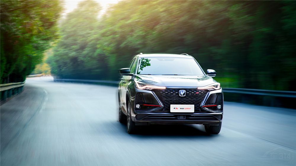 ���³��Σ��⼸�����SUV�����ھ����Լ�