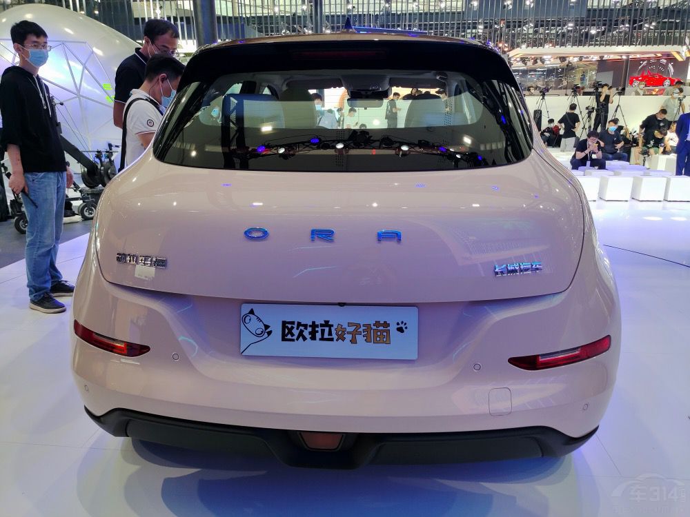 ŷ����è10���𲽣���ֻè�����ָ��ţ�