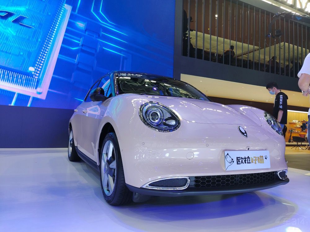 ŷ����è10���𲽣���ֻè�����ָ��ţ�