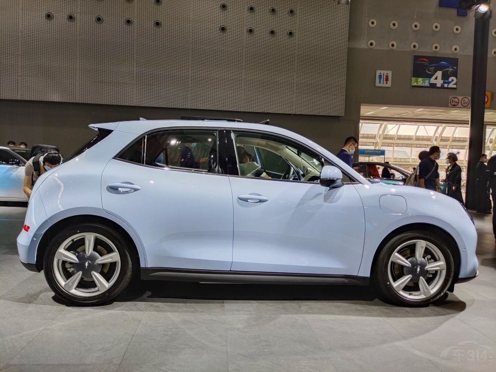 ŷ����è10���𲽣���ֻè�����ָ��ţ�