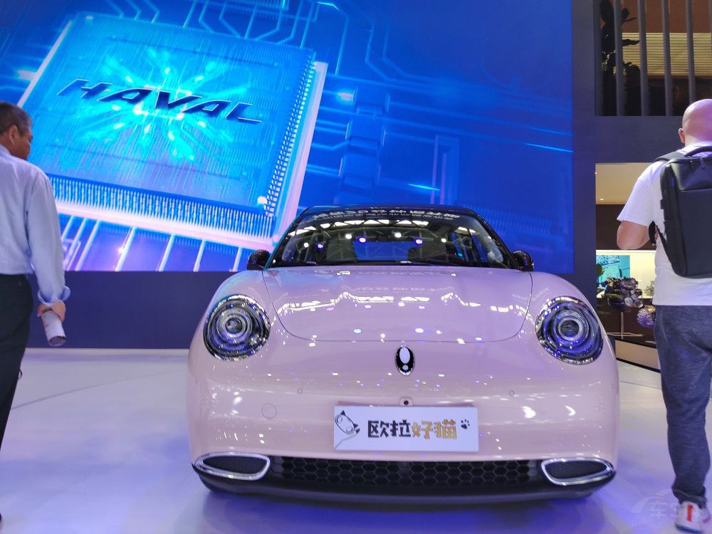 ŷ����è10���𲽣���ֻè�����ָ��ţ�