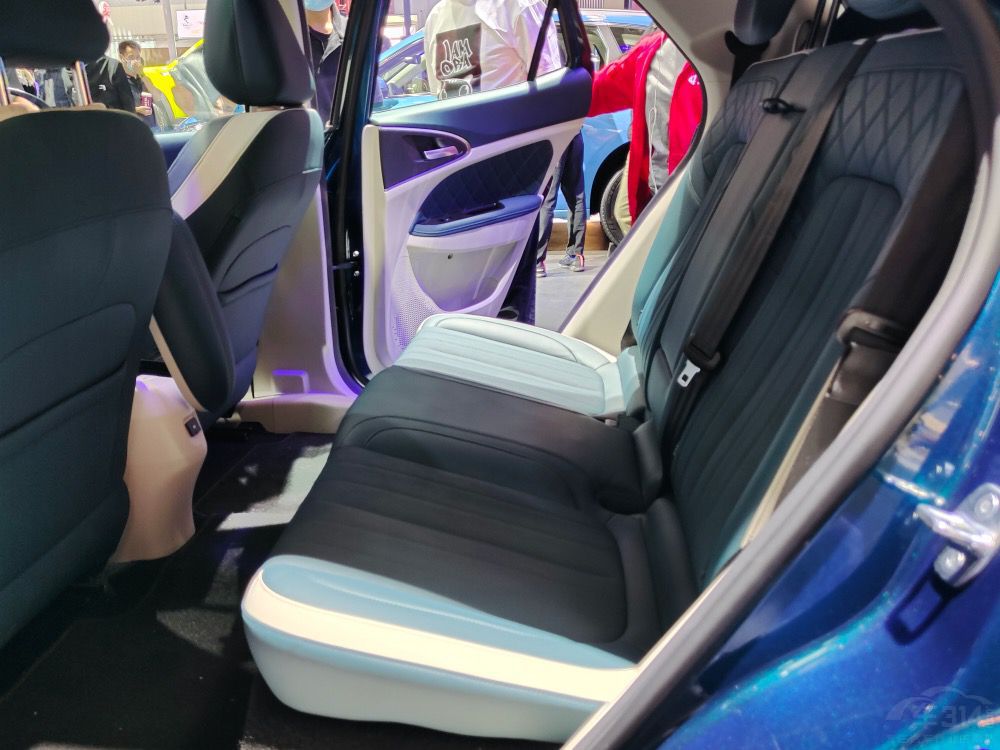 ŷ����è10���𲽣���ֻè�����ָ��ţ�