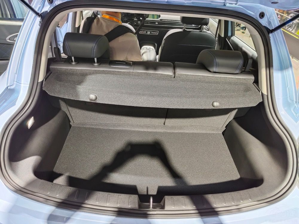 ŷ����è10���𲽣���ֻè�����ָ��ţ�