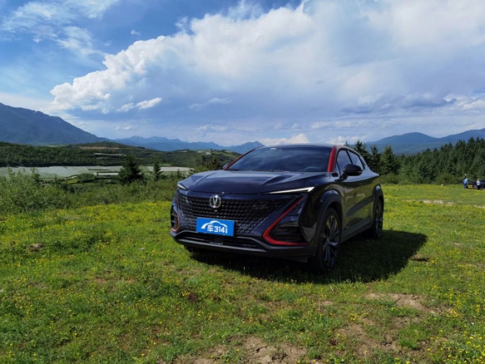 �̵���Щ2020���ҿ������³�