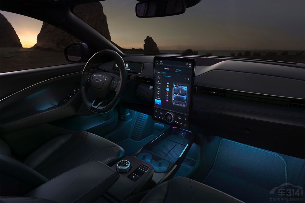 ΪʲôModel Y������������Ұ��Mach-E��