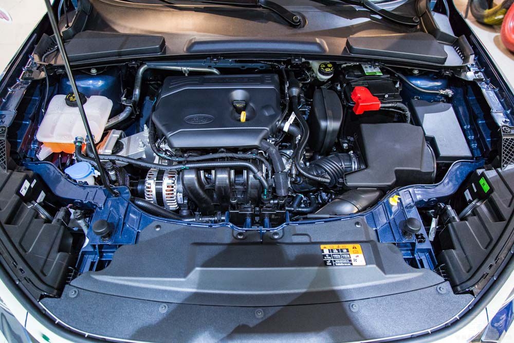 ���˹ǿ�ƹ���������Ӣ��Ӧ�����ѡ��