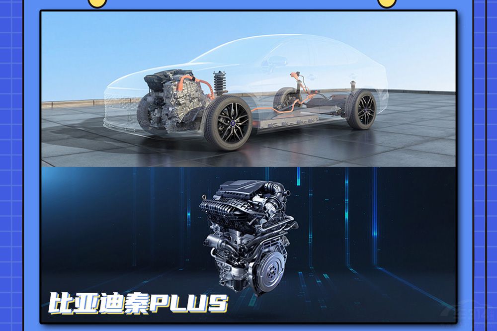 ҽε߸  ǵPLUSԱȼ