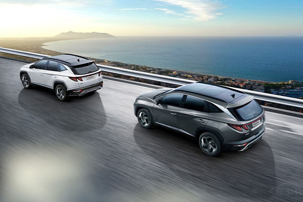 ȫ���ִ�;ʤL���� �ĸ����͸�ֵ���Ƽ���