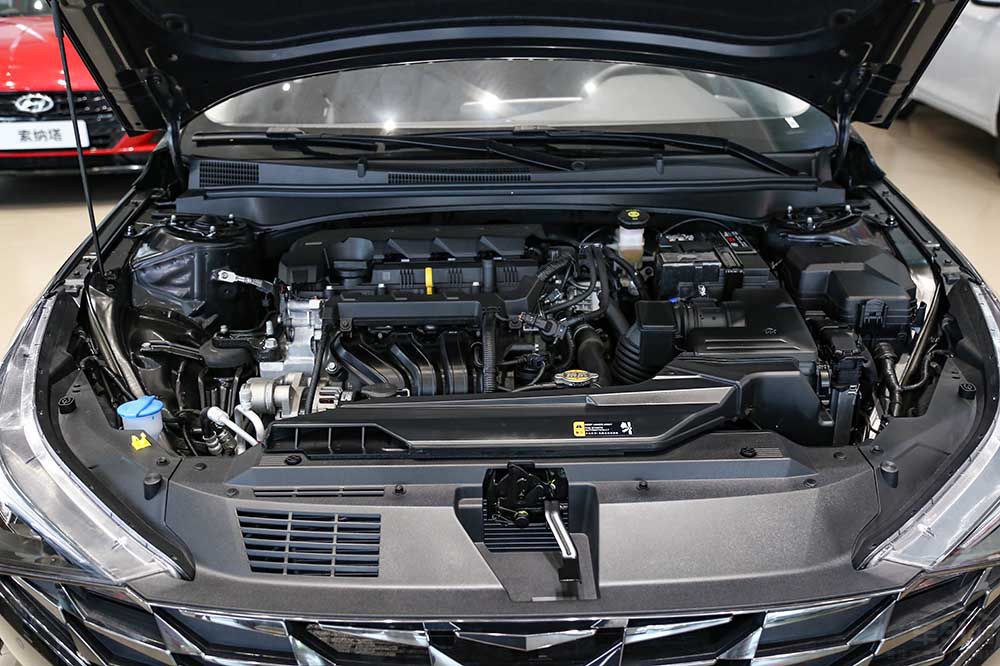 ʮ��Ԥ��ѡ�ҽ� �������ǲ������Ŵ𰸣�