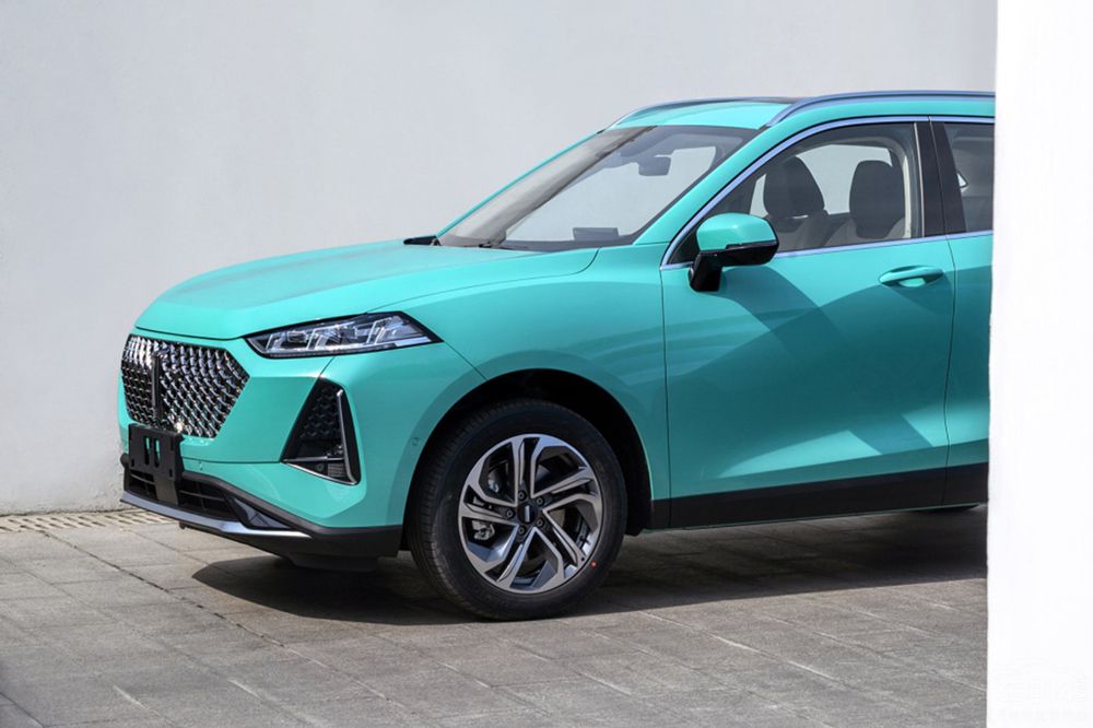 2021���°����³�չ�� �⼸����ֵһ����