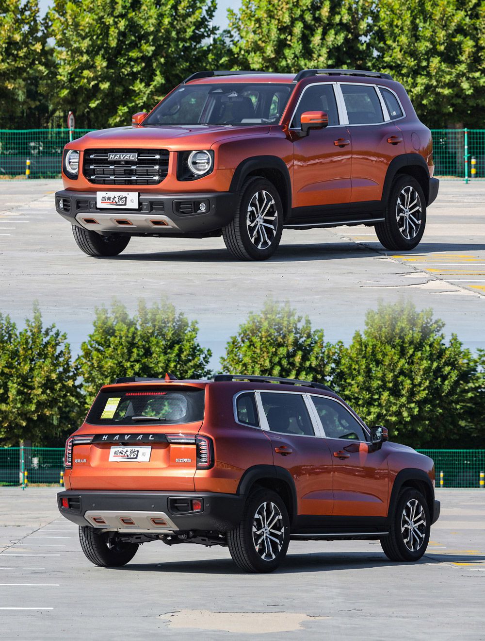 ̹��300���а�Աȹ����� ˭�����Ž⣿