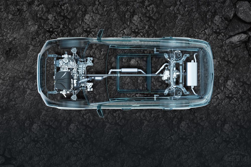 ̹��300���а�Աȹ����� ˭�����Ž⣿