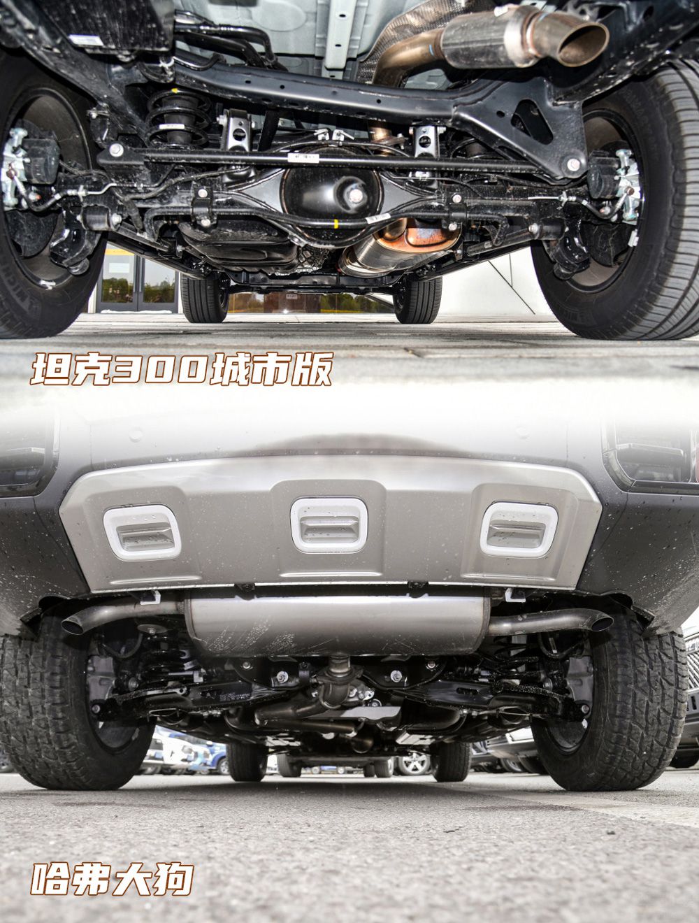 ̹��300���а�Աȹ����� ˭�����Ž⣿