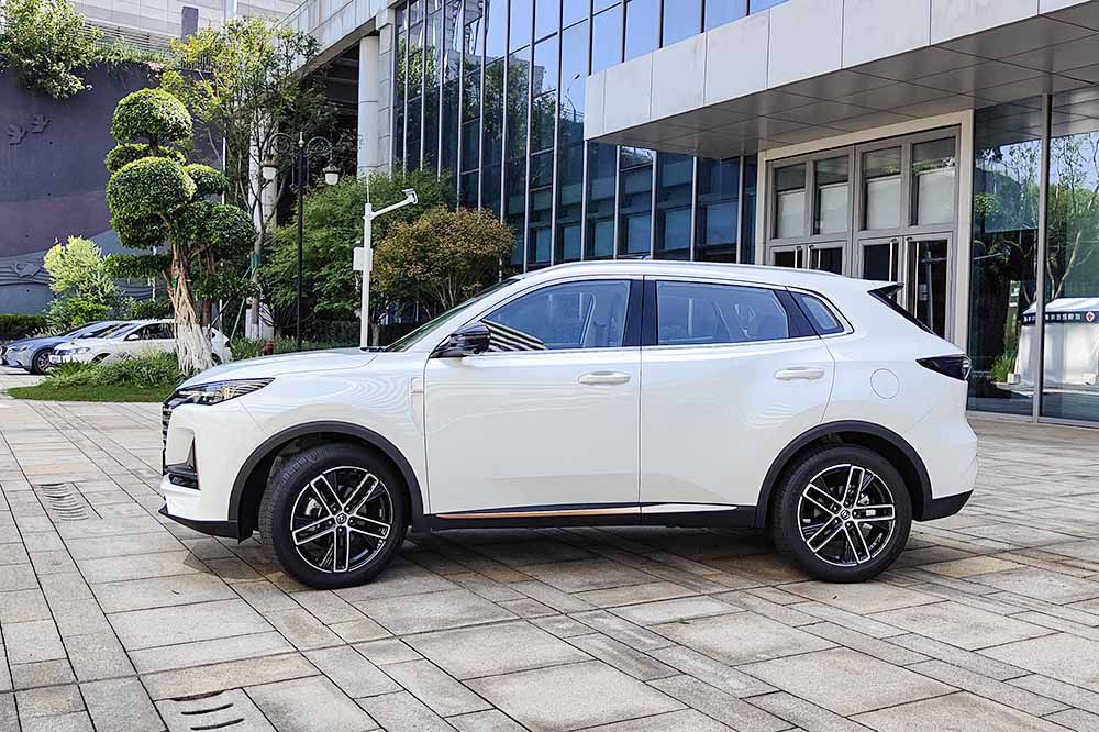 ʮ���ͷ������SUV Ҫ����������ѡ˭��