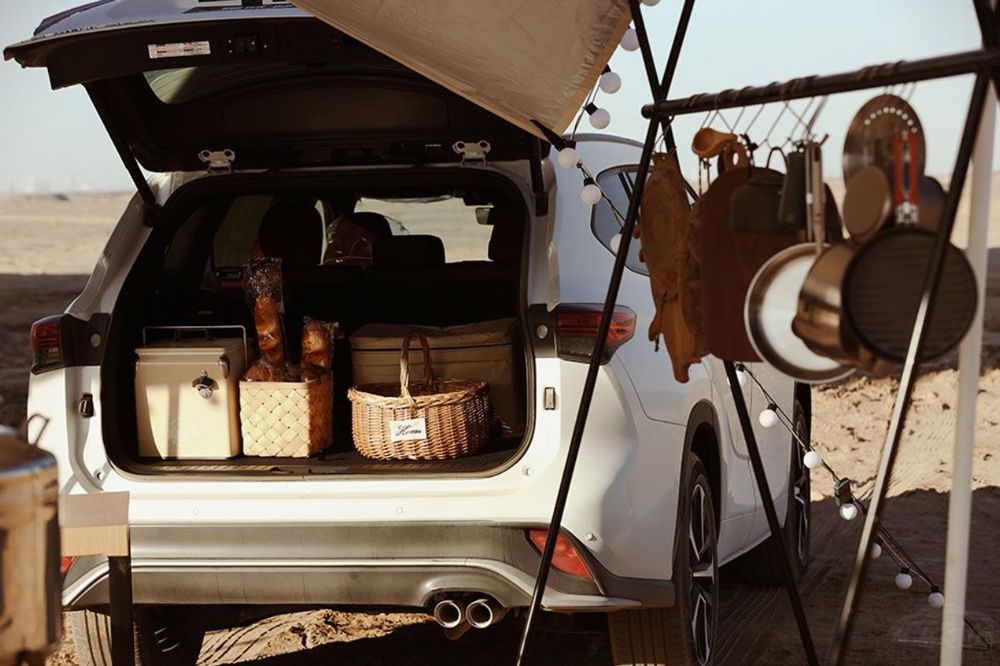 �ʹ�½�ž�������ʲô�ط���ֻ�ĸɻ���