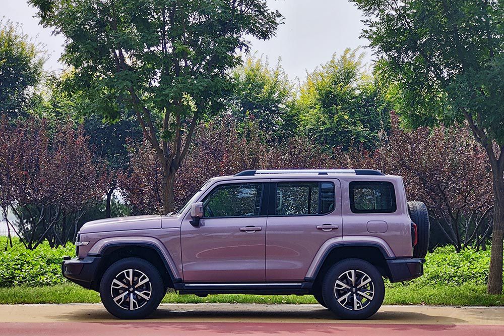 �������� ̹��300Ϊʲô�����������