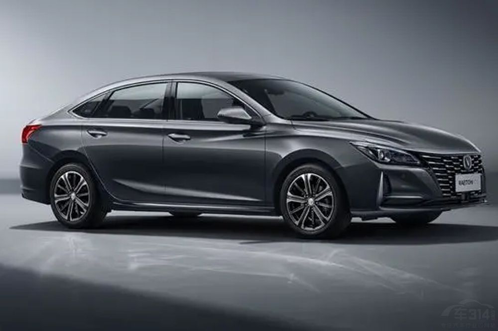 ʮ�򼶼ҽ���ôѡ���������������У�