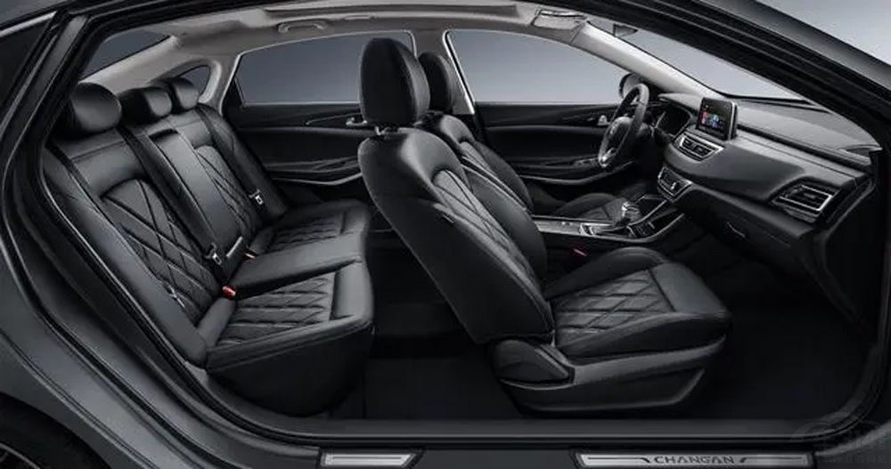 ʮ�򼶼ҽ���ôѡ���������������У�