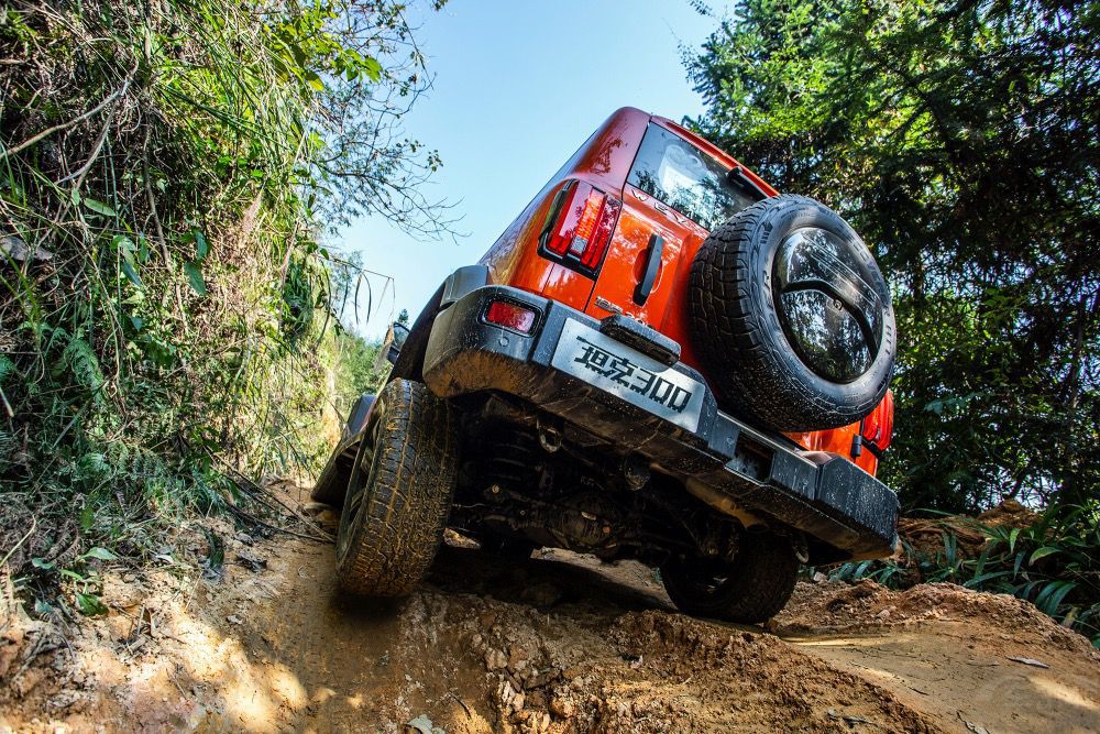 ��ɳĮ���ӡ��濥������ ����̨������棡