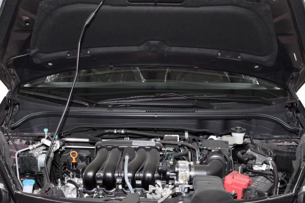 ��10�������ë����  ��ɶȵ��㶮��������