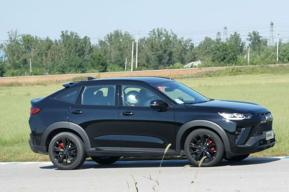 ����H6S��WEY����� DHT�Լ��ֵ�ѡ˭