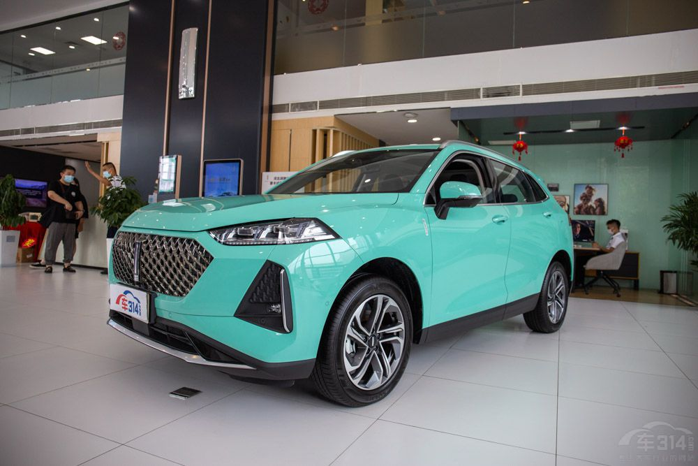 ����H6S��WEY����� DHT�Լ��ֵ�ѡ˭