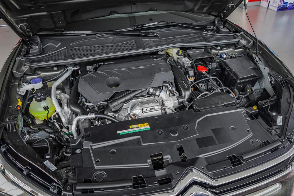 ������C5 XΪ���кڣ��Ա����Ÿ��Ŷ�