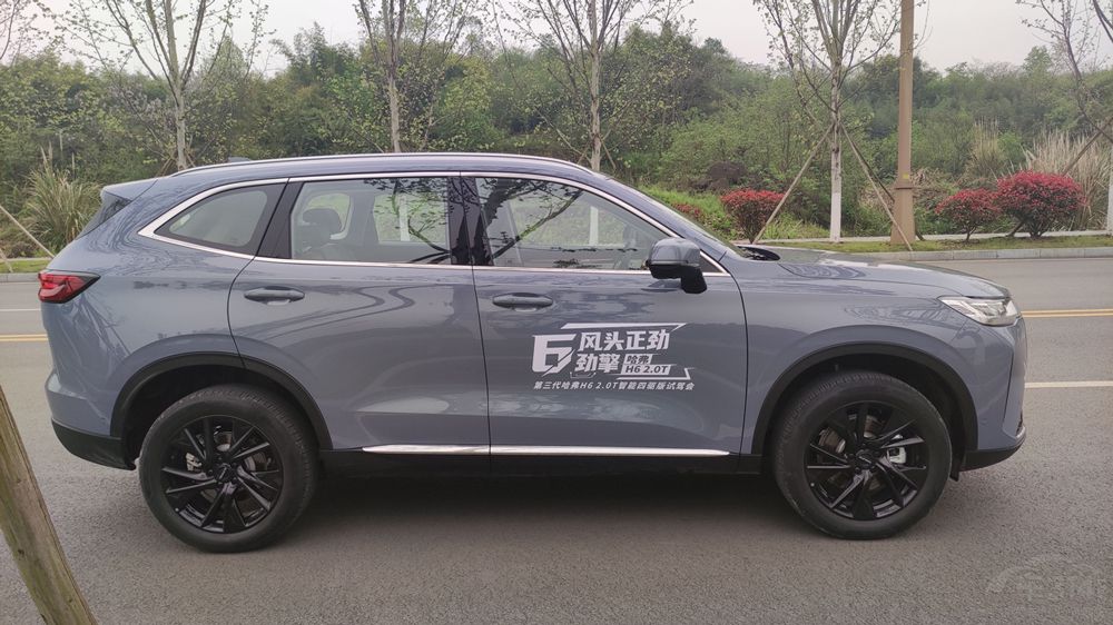 ʮ������ʣ����������������Ⱥ��ʲ�