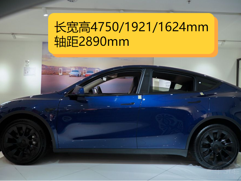 СG6Ա˹Model Yʤ