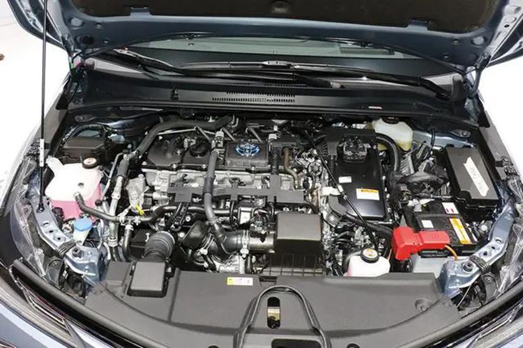 ȫ�¿������������