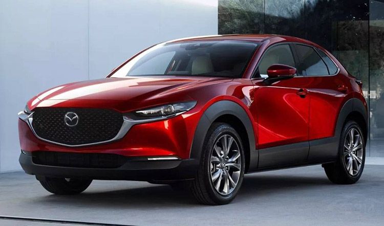 ��ϵSUV���巢�� 2019������ؽ�������