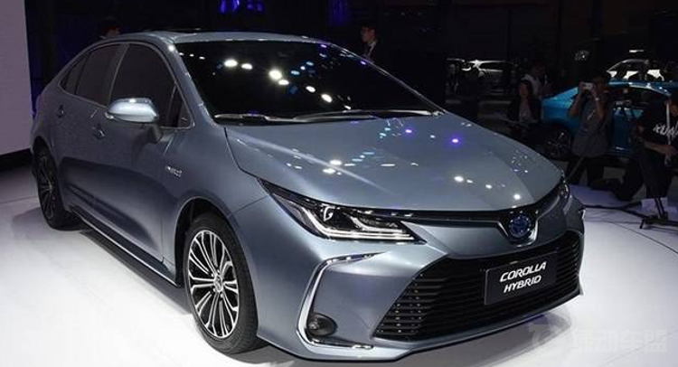 �춯�� �������������Ϻ���չ�춯����