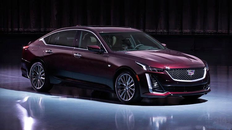 ȫ�º��������� ŦԼ��չҲ���ڻ��Ƚ��У�