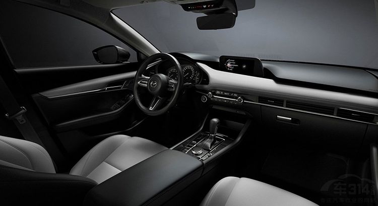 2019�ɶ���չ����Щ�³���һ�����ܴ�����