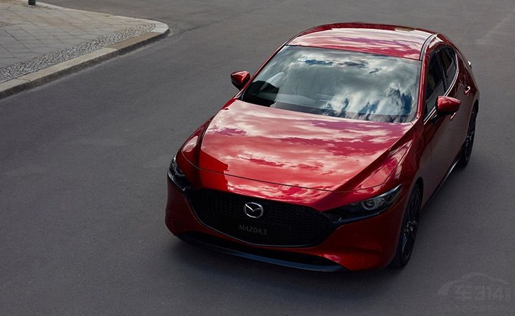 2019�ɶ���չ����Щ�³���һ�����ܴ�����