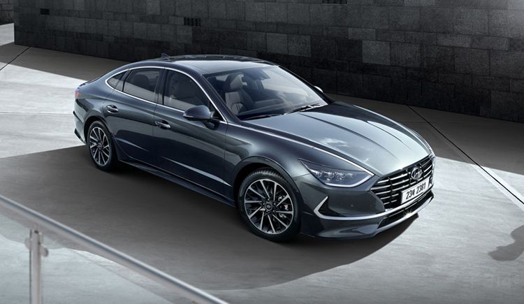 2019�ɶ����ʳ�չ