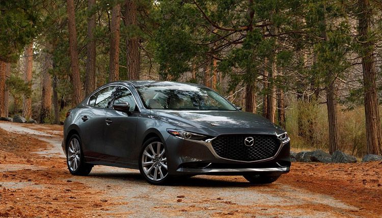 �̵�2019�ɶ���չ��ֵ���Ƽ�������ͣ�