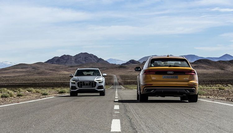 �µ�Q8��������