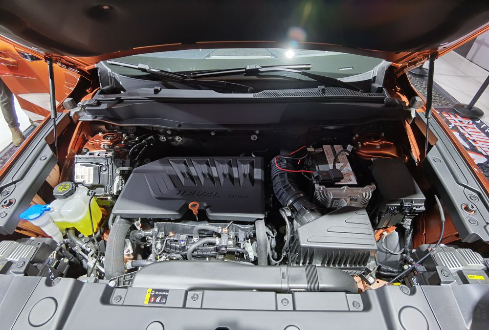 Ӳ��ԽҰ����ţȮ��---����������ɶ���չ