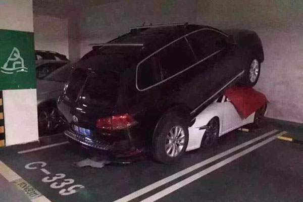 ͣ2.jpg