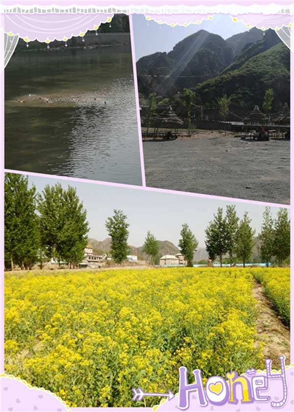 ڻ10.jpg