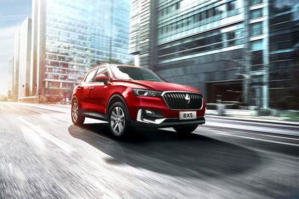 BX5.jpg