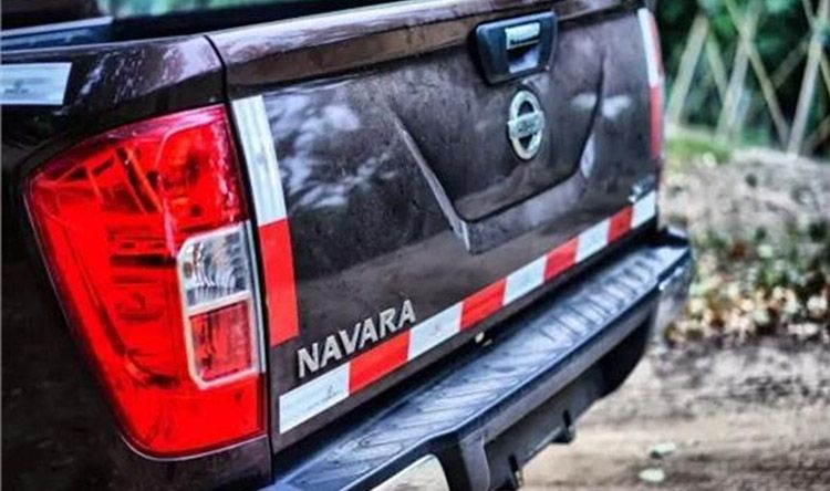 ����Ƥ��&ldquo;����&rdquo;���� ���ܷ�ӭ���������죿