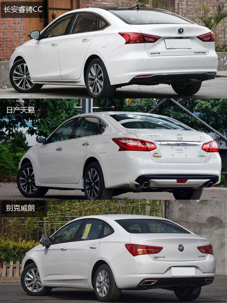 前有狼后有虎 睿骋CC能否挽回逸动的风采