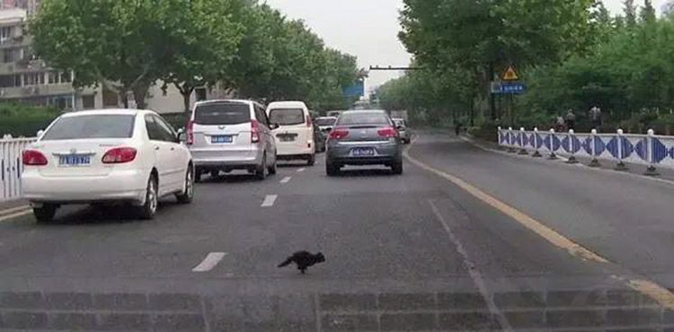 ·���������﾿��Ӧ����ô�� ײ���ǲ�ײ��