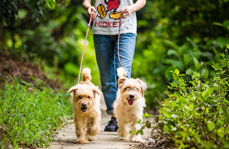 ·���������﾿��Ӧ����ô�� ײ���ǲ�ײ��