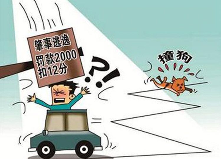 ·���������﾿��Ӧ����ô�� ײ���ǲ�ײ��