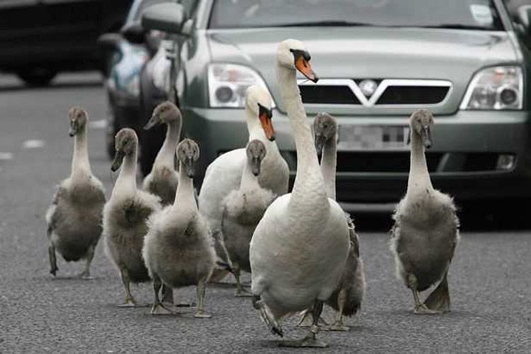 ·���������﾿��Ӧ����ô�� ײ���ǲ�ײ��